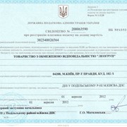 Продам ООО с НДС в Подольском районе Киева. фото