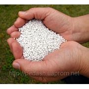 Карбамид, мочевина, карбамід, сечовина фото