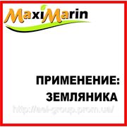 Применение Максимарин —земляника, клубника фото