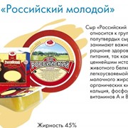 Сыр российский молодой полутвердый фото