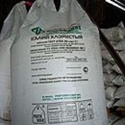 Калий хлористый (potassium chloride)