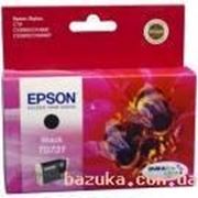 Epson C13T10514A10 фото