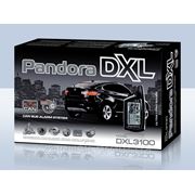 PANDORA DXL 3100 can