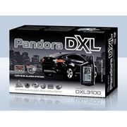 Автосигнализация Pandora DXL 3100 can фото