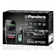 PANDORA DXL 3700 CAN GSM фото