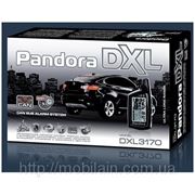 Pandora DXL 3170 can фотография