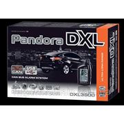 Pandora DXL 3500 CAN USB фото