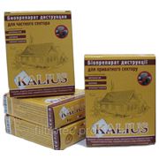 Биопрепарат Kalius бактерии для выгребных ям 100 грамм Харьков