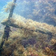 Погружение на затонувшие корабли фото