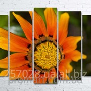 Модульна картина на полотні Помаранчева квітка код КМ100150(132)-015 фотография