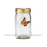 Бабочка в банке (Butterfly in a jar) на батарейках фото