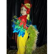 Карнавальный костюм Петушок для мальчика. фото