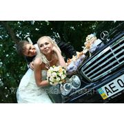Прокат свадебных автомобилей, авто на свадьбу, Днепропетровск фото
