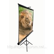 Екран на тринозі Elite Screen 180x180cm фотография