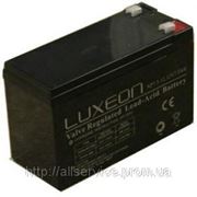 Аккумуляторная батарея LX 1290 фото