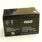 Аккумулятор Casil CA12120 фото