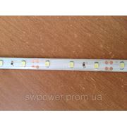 Светодиодная лента SMD3528 60 LED (IP 44) (цвет холодно белый и тепло белый)
