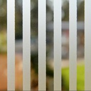 Стекло травленное 33118-ZEBRA фото