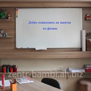 Подготовка к поступлению в Назарбаевский университет по физике фото