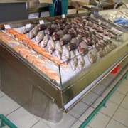 Витрина рыбная Mondel (Италия) фото