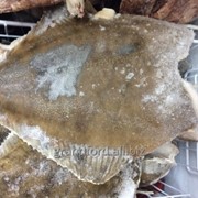 Рыба Камбала без головы и б/бр, размер L , 350-450 грамм