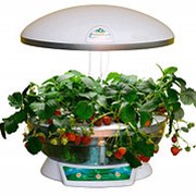 Гидропонная система “Домашний сад“, белая прозрачная, N2810 фото