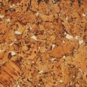 Настенная клеевая пробка EGEN, MIAMI BEIGE (600х300х3 мм) упак. 1,98 м2 фото