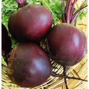 Свекла свежая фото