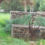 сварной габионный забор с ячейками 50х100 мм фото