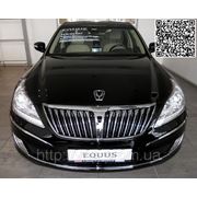 Брендирование авто EQUUS для компании Аэлита в Днепропетровске фото