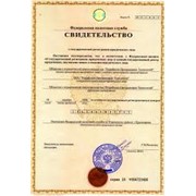 Государственная регистрация ОАО фото