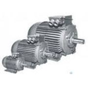 Электродвигатель АИР 55кВт/750об/мин фотография