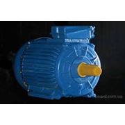 Электродвигатель АИР,4ам 180М4 (30 кВт,1500 об/мин) асинхронный фото