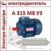 Электродвигатель А 315 М8 У3 фото