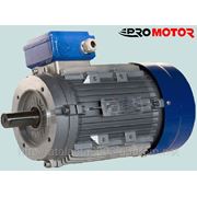Электродвигатель асинхронный трехфазный Promotor T90LM-4 фото