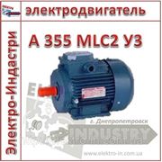 Электродвигатель А 355 MLC2 У3 фотография