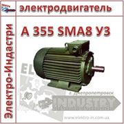 Электродвигатель А 355 SMA8 У3 фотография