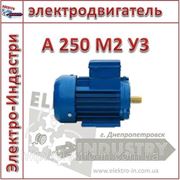 Электродвигатель А 250 М2 У3 фотография