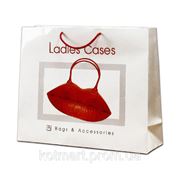 Бумажный пакет, сумка “Ladies Cases“ фото