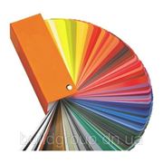 Образцы цветов полимерного покрытия фото