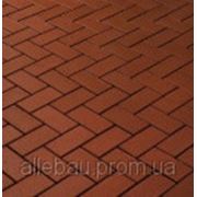 Тротуарная клинкерная брусчатка Gorlitz фото