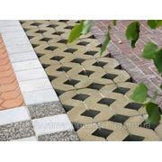 Тротуарная плитка Золотой Мандарин - парковочная решётка (500x500x80) фото