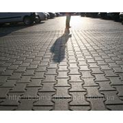 Тротуарная плитка Золотой Мандарин - двойное Т (200x170x80) фотография