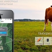 GPS-маяк для крупных животных с заряжаемым аккумулятором X-Pet #4 фотография