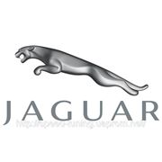 Чип тюнинг двигателя Jaguar и другие фото
