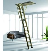 Чердачная лестница ROTO ESCA ISO RC 1400*700*36мм фотография