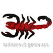 Разные Skorpion ES67096e фото
