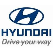 Амортизатор передний правый Hyundai 546601E200 фото