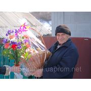 Международная доставка цветов и букетов по Украине и всему миру фото