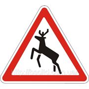 Предупреждающие знаки — Дикие животные 1.36, дорожные знаки